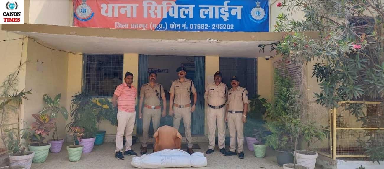 अफीम के पौधे