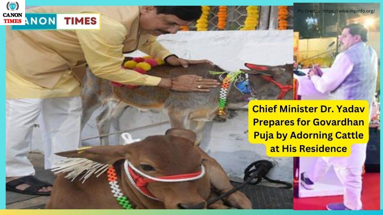 Chief Minister Dr. Yadav Prepares for Govardhan Puja by Adorning Cattle at His Residence