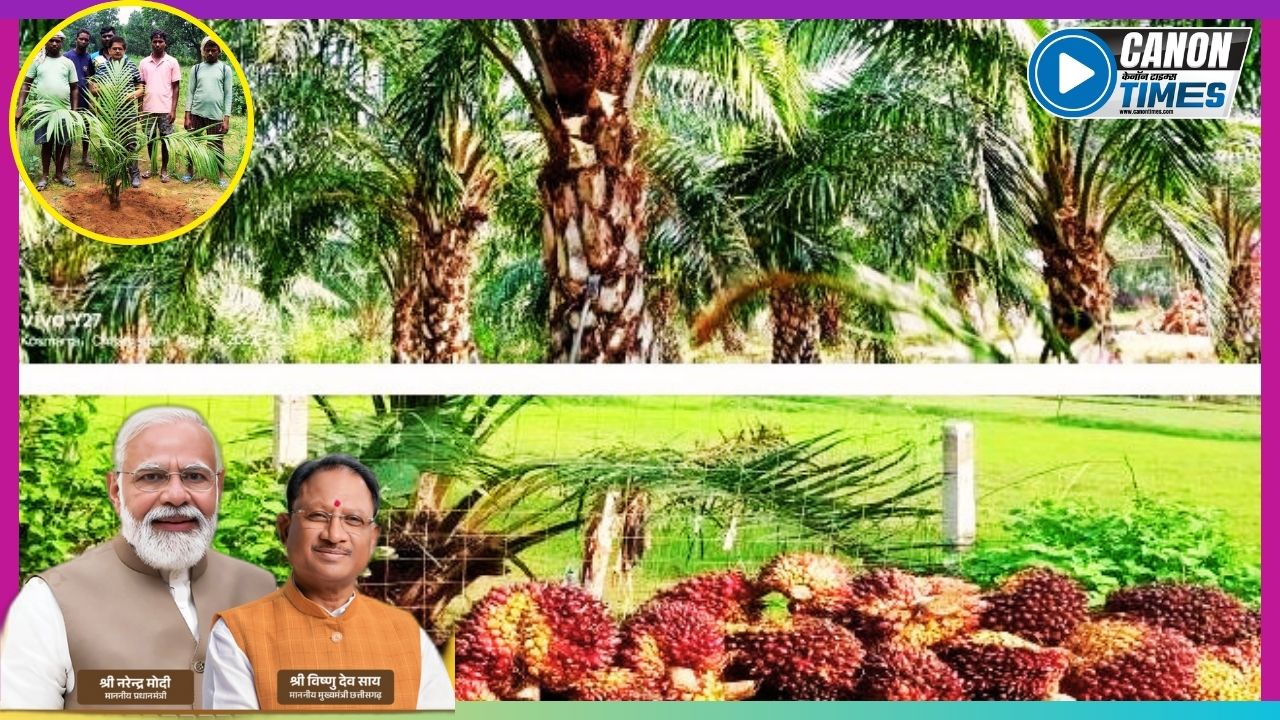 तेल पाम की खेती