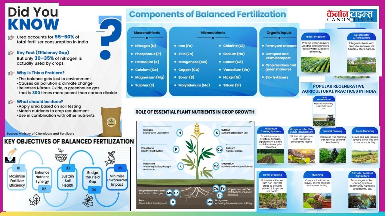India’s Fertiliser Fix: Balance or Bust