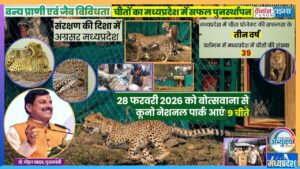 Project Cheetah: Roaring Success for Madhya Pradesh