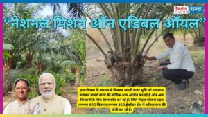 Oil Palm Farming Yields Crores: Chhattisgarh Farmer's 35 Year Success Story