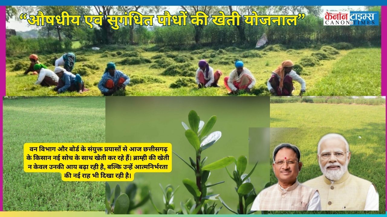 From Paddy Fields to Prosperity: Chhattisgarh's Brahmi Revolution