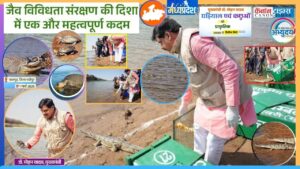 Wildlife Conservation: Madhya Pradesh's Commitment