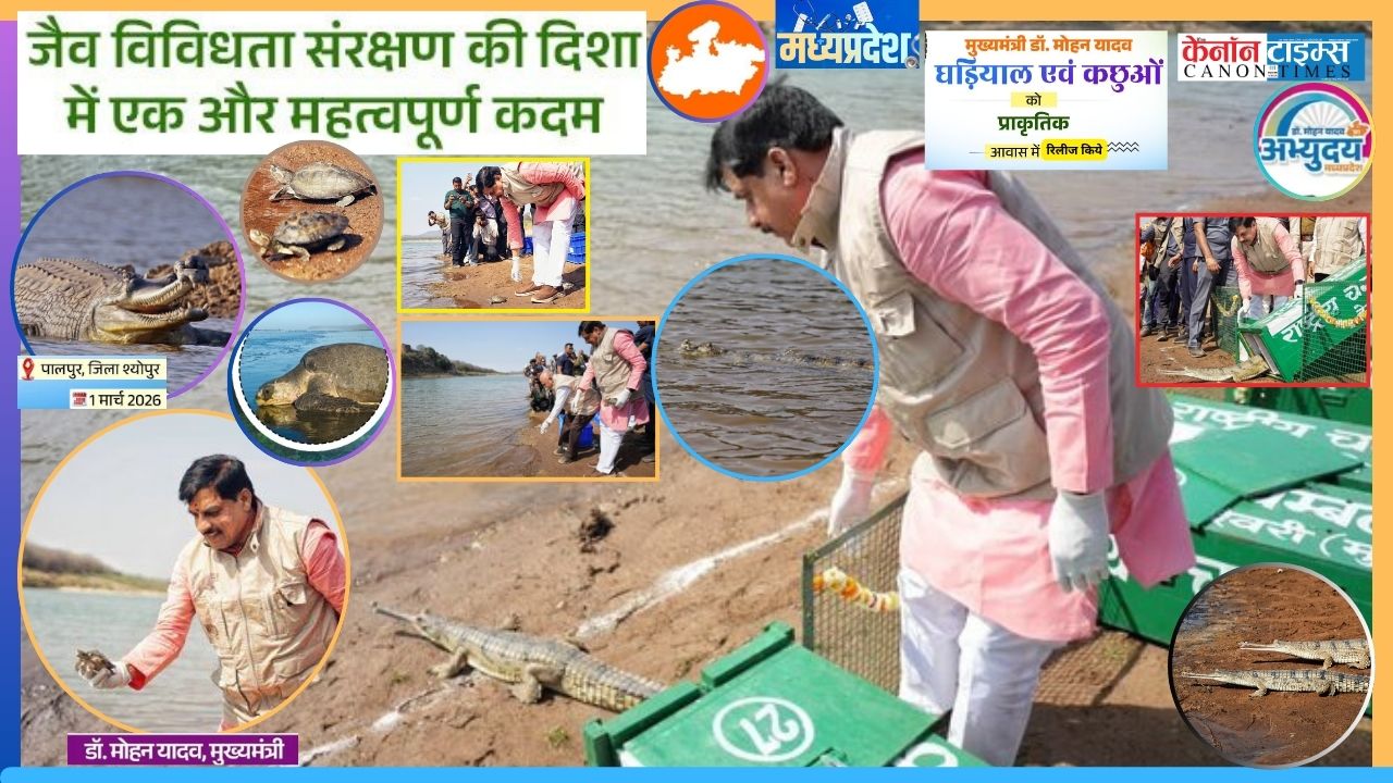 Wildlife Conservation: Madhya Pradesh's Commitment