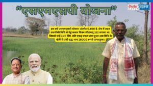 Wheat Farming: Low Cost, High Returns