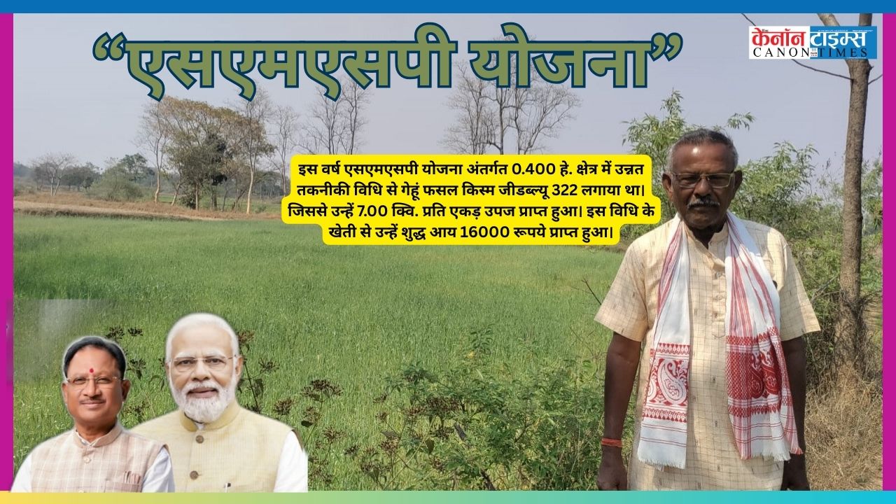 Wheat Farming: Low Cost, High Returns