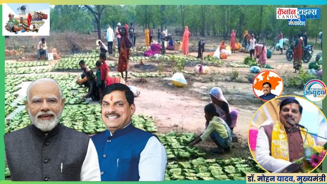 Beyond Wages: Recognising the Invisible Backbone of Forest Economies