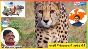 Project Cheetah Enters a Crucial Phase