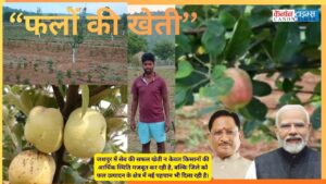 Jashpur’s Apple Revolution Is Redefining Rural Prosperity