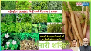 From Forest Wisdom to Financial Freedom: Women at the Heart of Chhattisgarh’s Herbal Economy