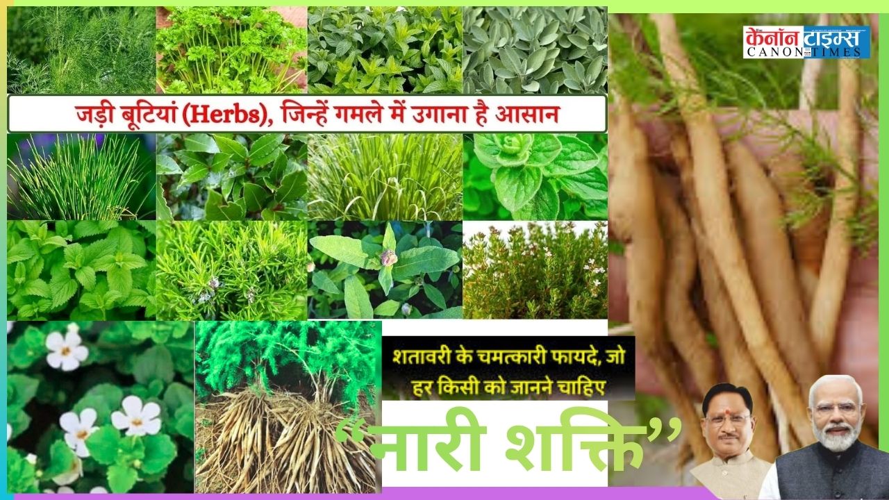 From Forest Wisdom to Financial Freedom: Women at the Heart of Chhattisgarh’s Herbal Economy
