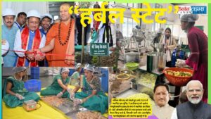 Forest Wealth Can Transform Rural India