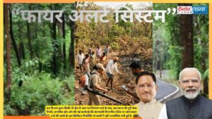 Technology and Community Together Can Protect India’s Forests
