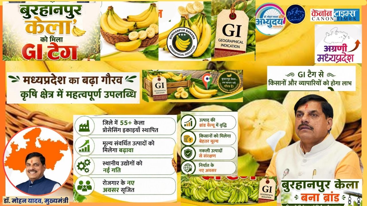 Burhanpur Banana Gets GI Tag, a Boost for Farmers and Local Industry
