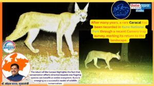 Kuno National Park Emerges as a Model for Wildlife Conservation