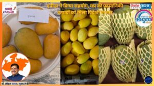 Rewa’s Sunderja Mango Shows How GI Branding Can Lift Farm Income