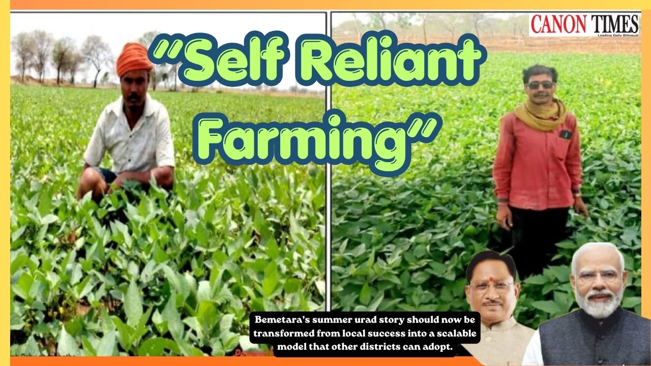 Summer Pulses Point the Way to Self Reliant Farming