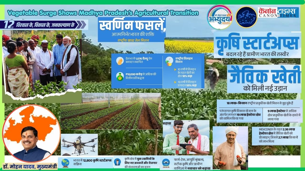 Vegetable Surge Shows Madhya Pradesh’s Agricultural Transition