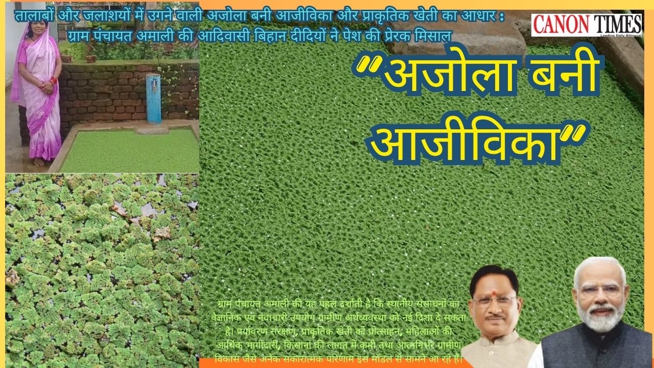 Azolla as a Path to Livelihood