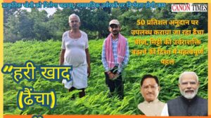 Dhaincha A Simple Green Solution for Better Paddy Farming