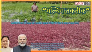 Mulching Changed a Farmer’s Future