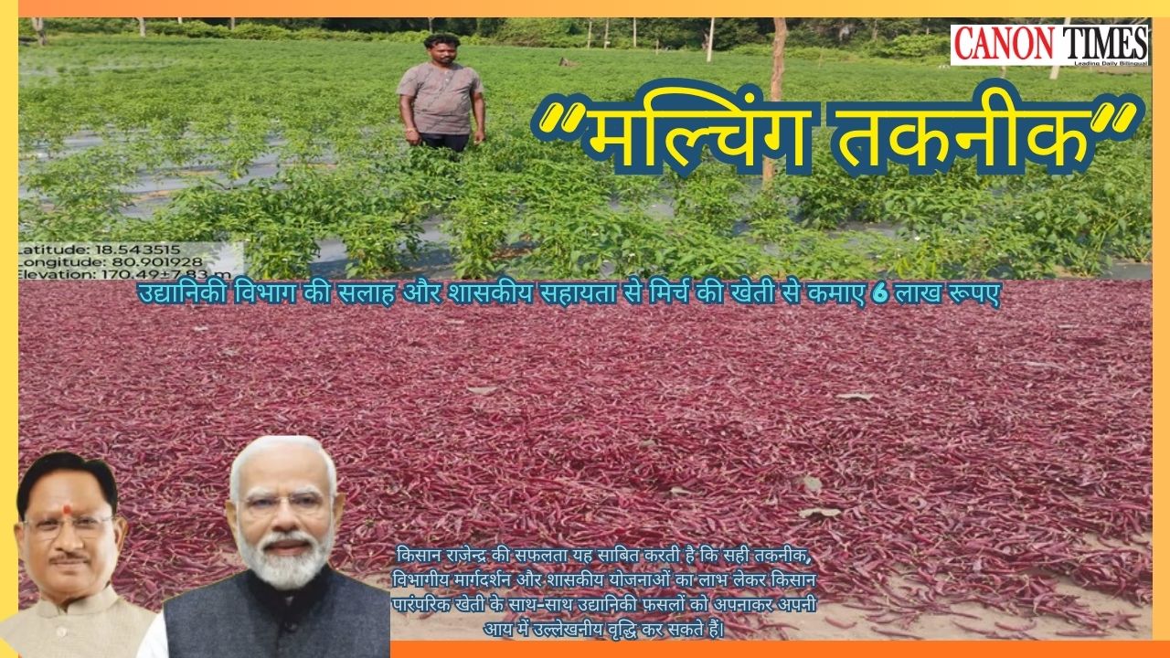 Mulching Changed a Farmer’s Future