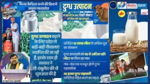 When a gaushala becomes a civic model Bhopal’s next step