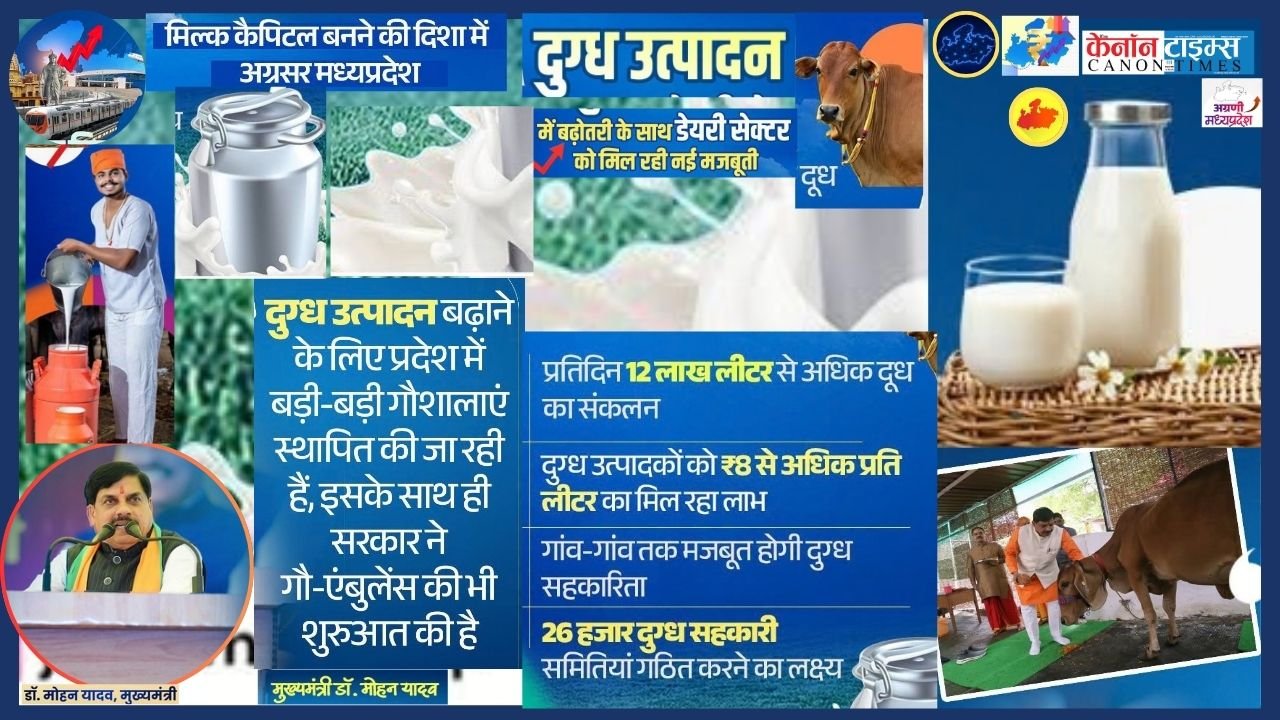 When a gaushala becomes a civic model Bhopal’s next step